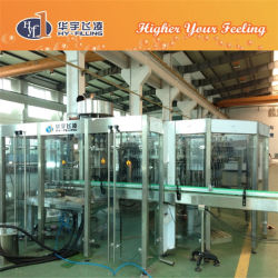 Автоматическая линия розлива минеральной питьевой воды от Hy-Filling